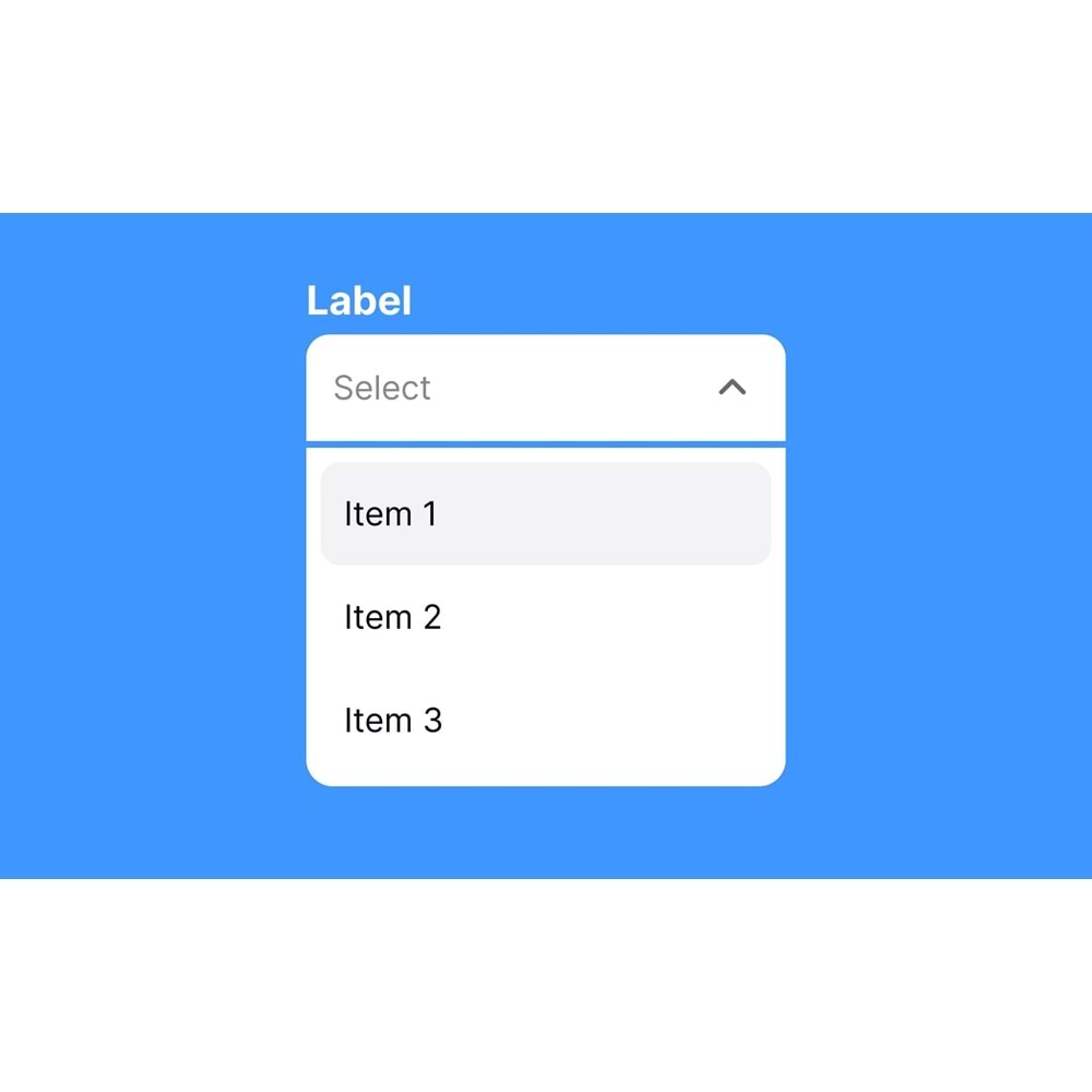 Ürün Seçenek Testi - Select