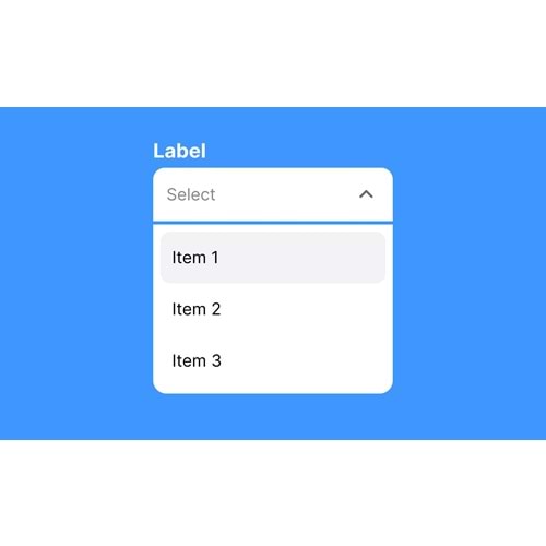 Ürün Seçenek Testi - Select